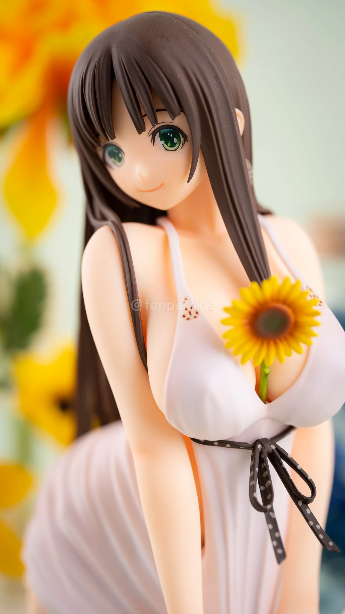 フィギュアレビュー「美咲詩絵『夏草』通常版」ダイキ工業 DSC00376