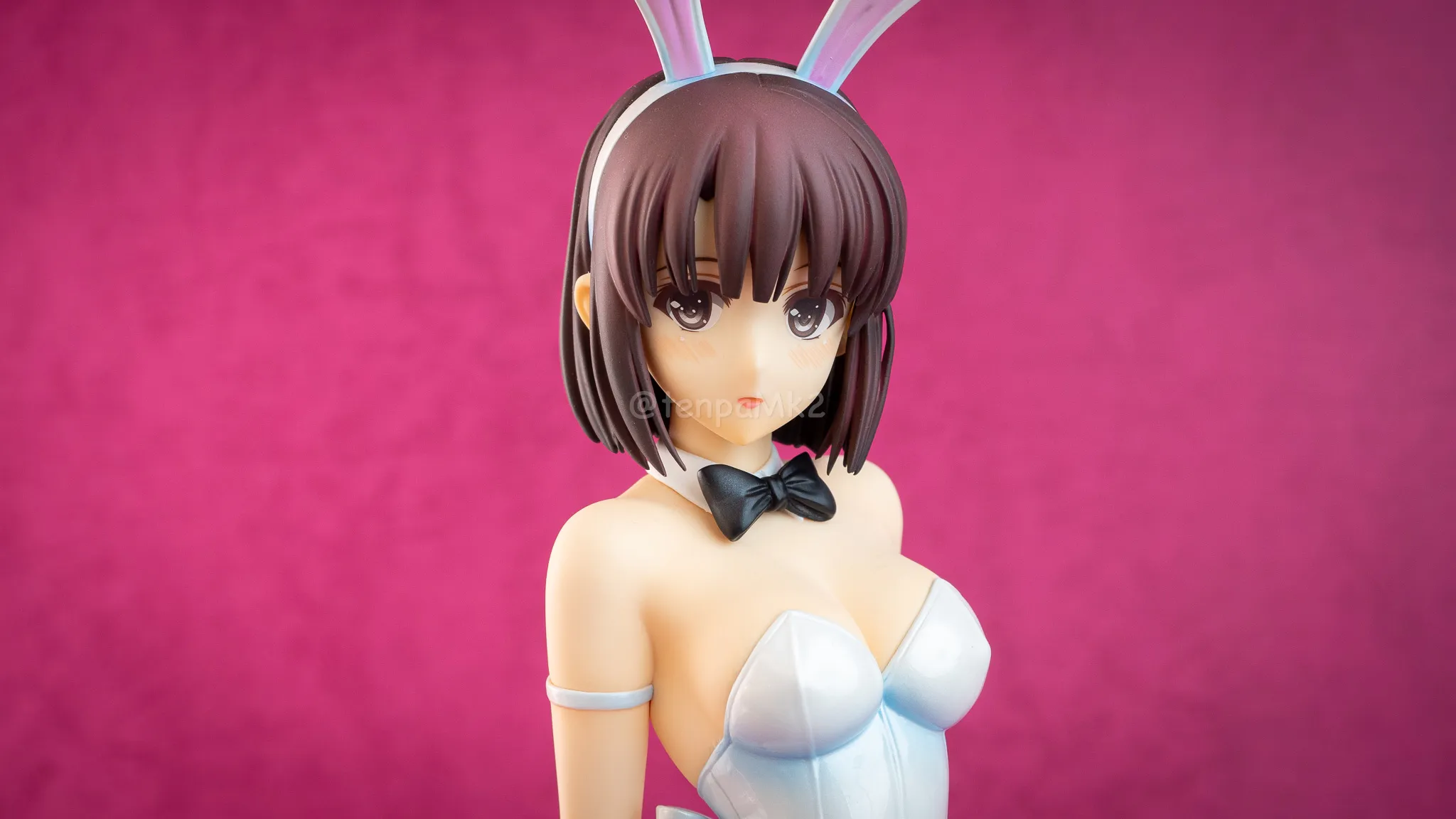 フィギュアレビュー「加藤恵 生足バニーVer.」FREEing PC050009