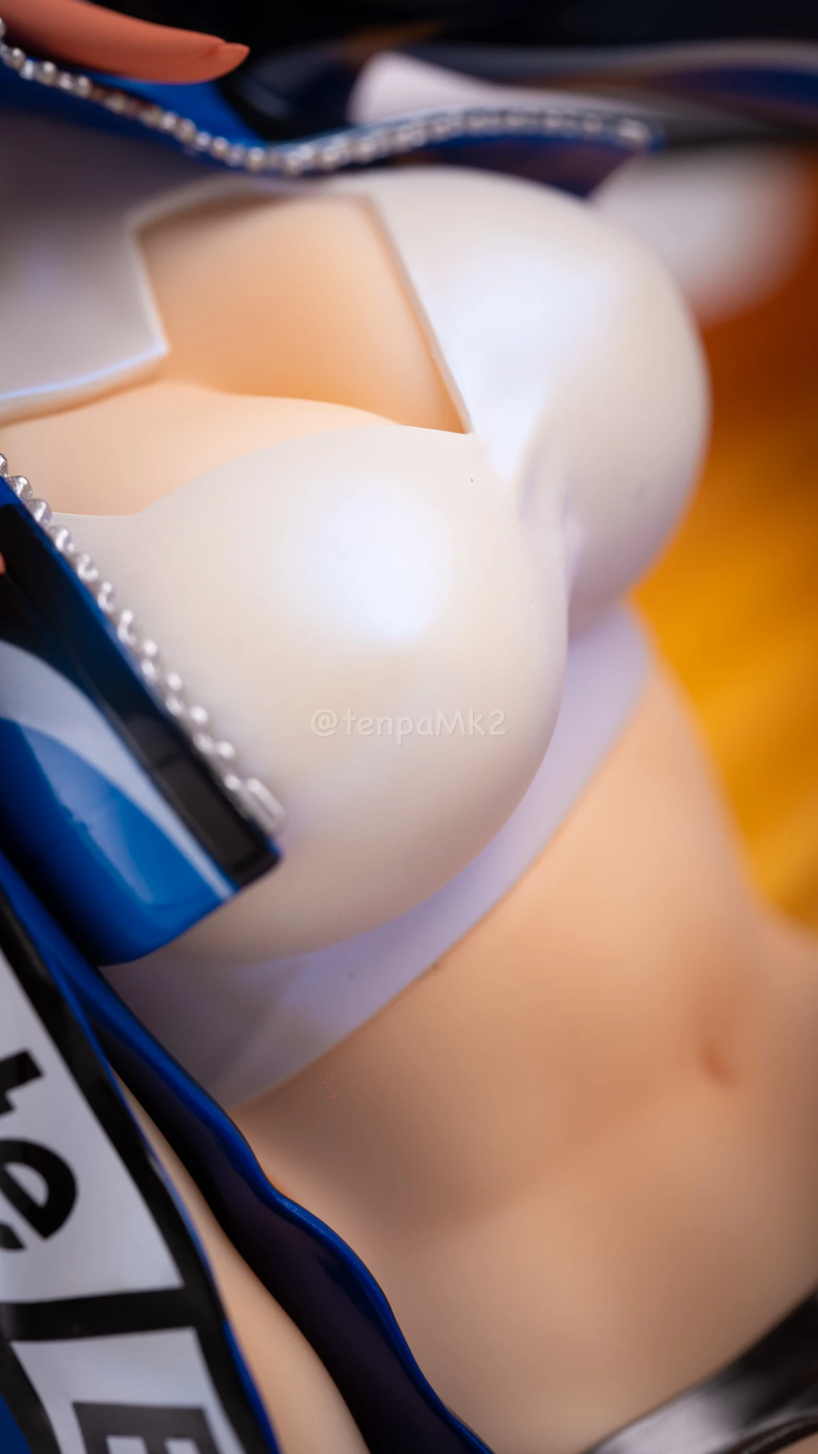 フィギュアレビュー「ネロ・クラウディス&玉藻の前 TYPE-MOON RACING Ver」plusone DSC02466