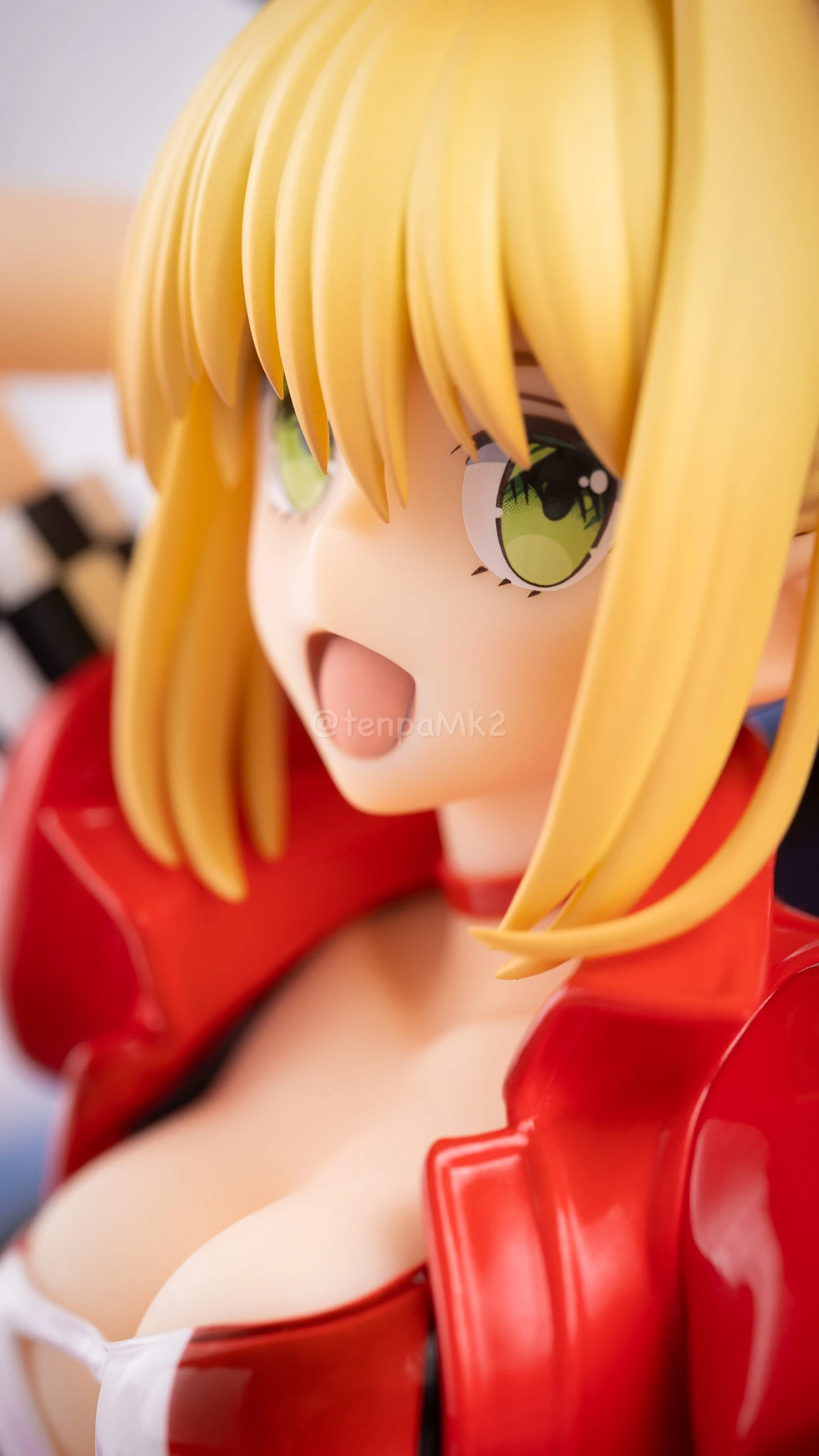 フィギュアレビュー「ネロ・クラウディス＆玉藻の前 TYPE-MOON RACING Ver」plusone DSC02490